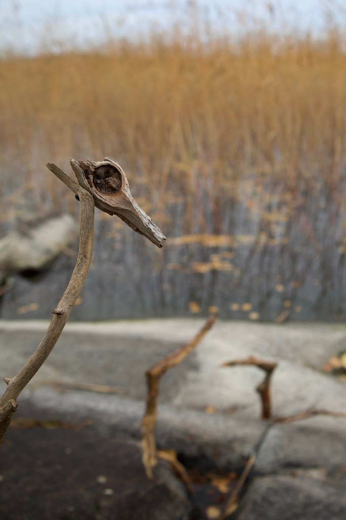 nukketeatteria luonnossa